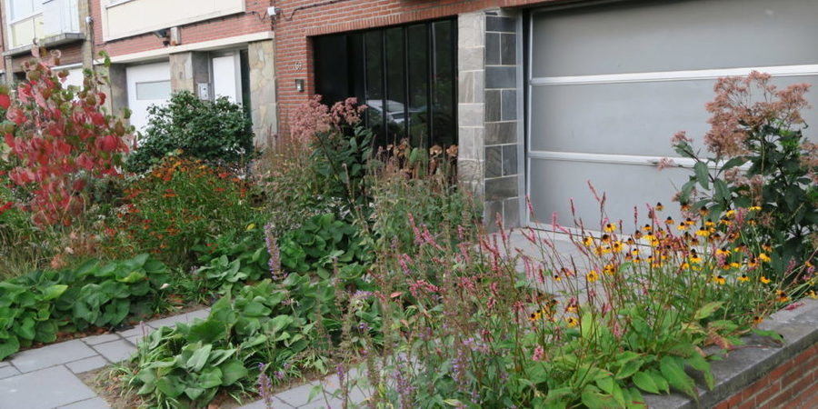 Hoge vaste planten kunnen toch nog een groene massa groen creeëren op een smalle plek.